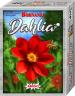 Bohnanza - Dahlia